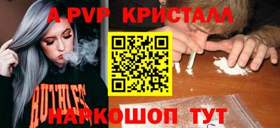 a pvp Камышлов