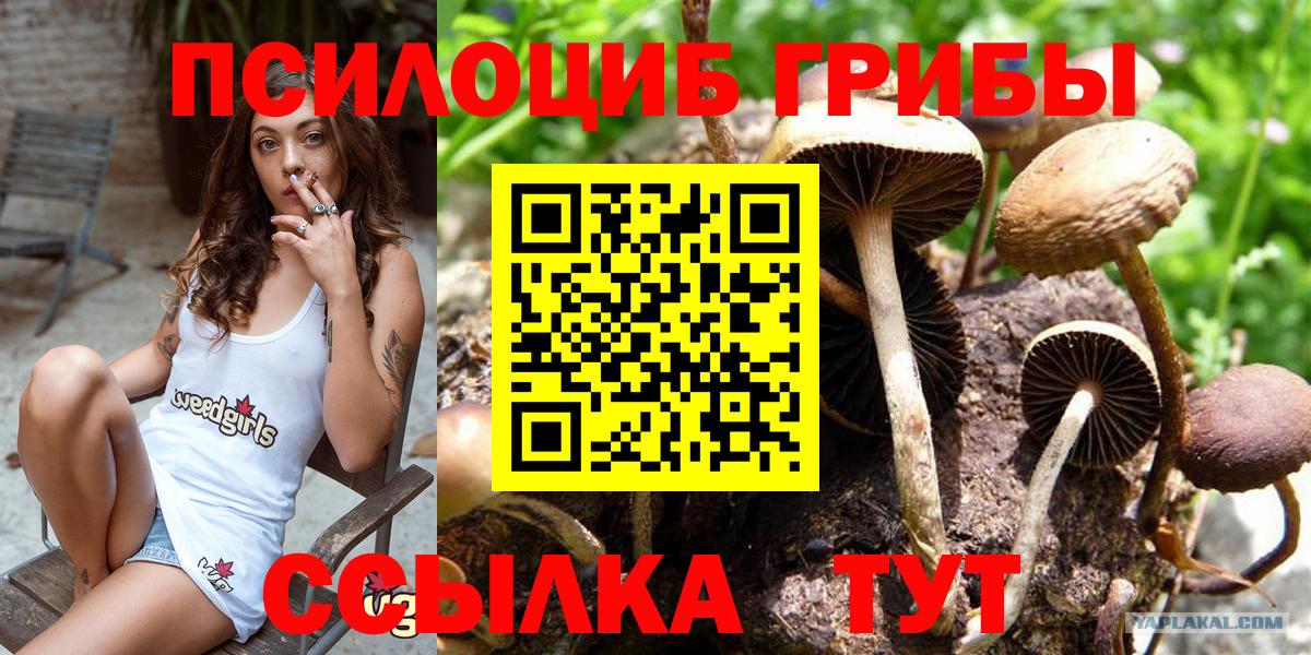 Метадон Кандалакша