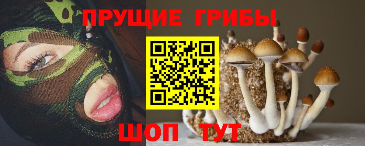 Кандалакша  Псилоцибиновые грибы MAGIC MUSHROOMS  как найти закладки  Вход с VPN 